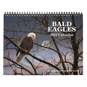 Bald Eagles Wildlife Fotografie Kalender