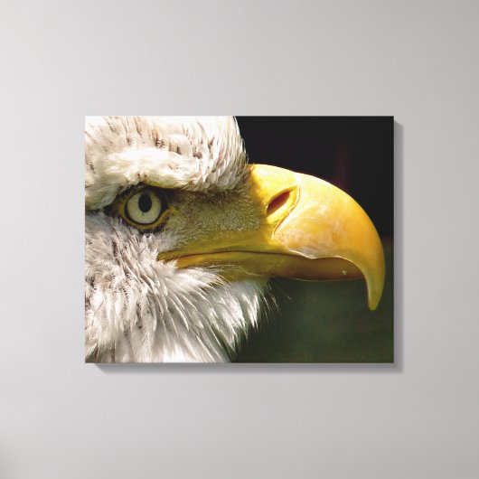 BALD ELGF CANVAS AFDRUK (Voorkant)