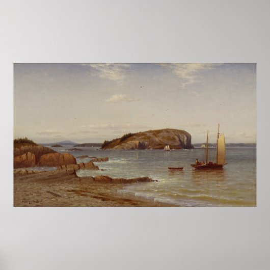 Bald Porcupine Island | 1868 Poster (Voorkant)