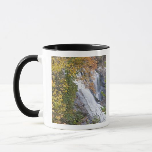 Bald River Falls Mok (Links)