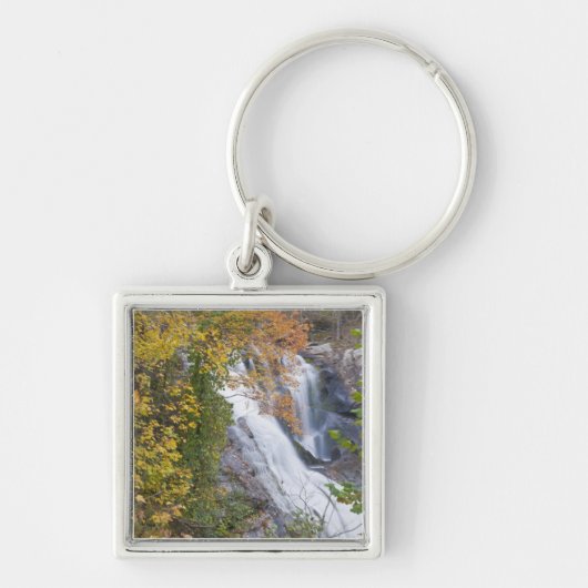 Bald River Falls Sleutelhanger (Voorkant)