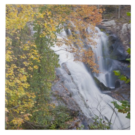 Bald River Falls Tegeltje (Voorkant)