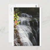 Bald River Herfsten-Tellico-vlakken, TN Briefkaart (Voorkant / Achterkant)