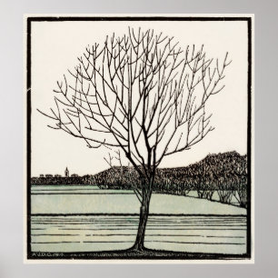 Bald-structuur Poster