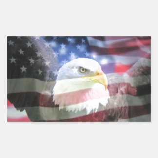 baldenarend en Amerikaanse vlag Rechthoekige Sticker