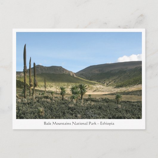 Bale Mountains Ethiopië Briefkaart (Voorkant)