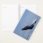 Baleine à bosse Balf Vélin (Devant avec enveloppe)