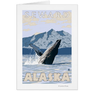 Baleine à bosse - Eau douce, Alaska