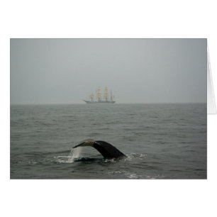 Baleine à bosse et grand navire 2 carte