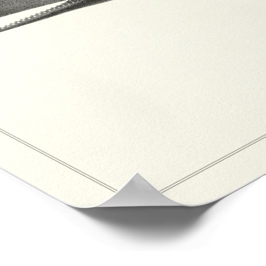 Baleine à sperme + Poster (Coin)