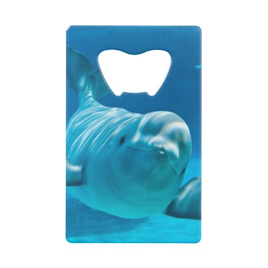 Baleine de beluga (Devant)