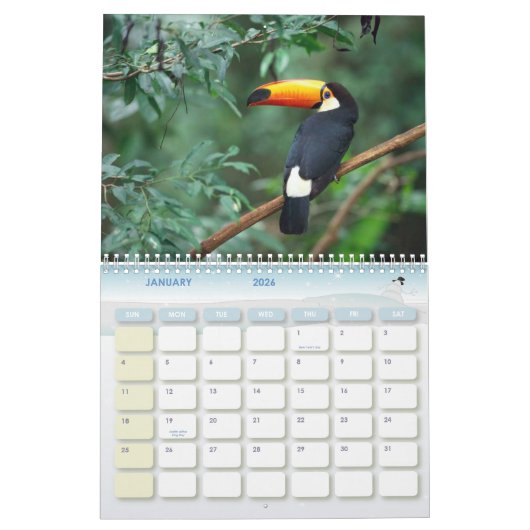 Baleine de bosse, calendrier 20010 (Jan 2026)