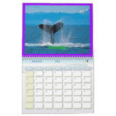 Baleine de bosse, calendrier 20010 (Feb 2026)