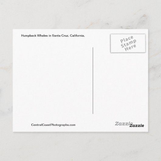 Baleine d'une carte postale Père Noël Cruz Califor (Dos)