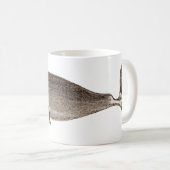 Baleine d'une tasse 3 (Devant droit)