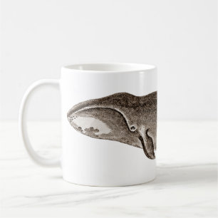 Baleine d'une tasse 3