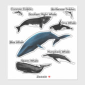 BALEINE JOUR CARRÉ STICKER (Feuille)