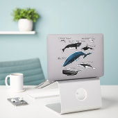 BALEINE JOUR CARRÉ STICKER (Ordinateur portable sur le bureau)
