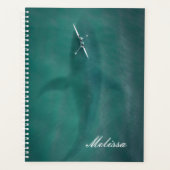 Baleine sous le bateau : jamais seule en mer (Devant)