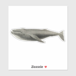 BALEINE vintage STICKER TRANSPARENT