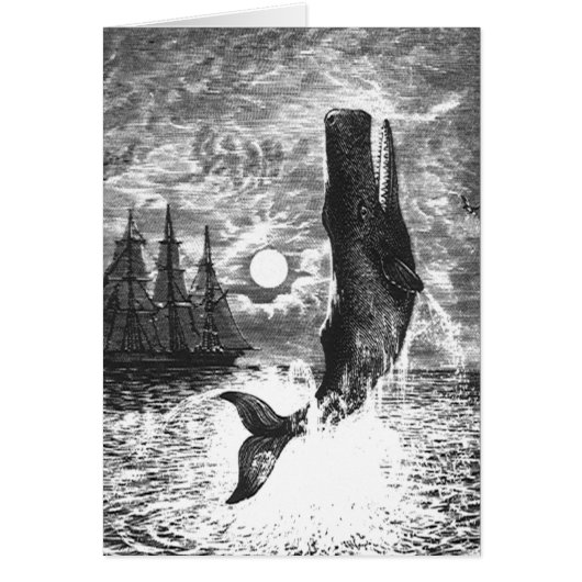 Baleine vintage, Vie Marine Animaux (Devant)