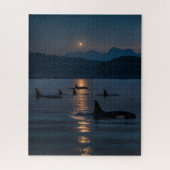 Baleines tueuses à la nuit - Orca Jigsaw Puzzle (Vertical)