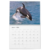 Baleines tueuses calendrier 12 mois (Mar 2026)