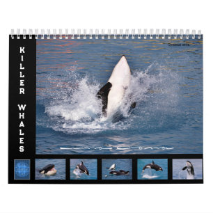 Baleines tueuses calendrier 12 mois