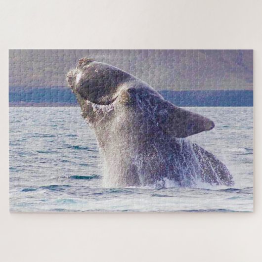Baleinwalvis Legpuzzel (Horizontaal)