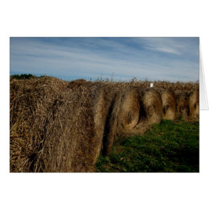 Bales de hay_blanc