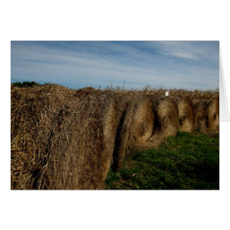 Bales de hay_blanc