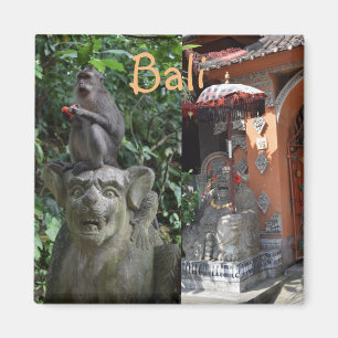 Bali Indonesia Temple Monkey en Statues Magneet