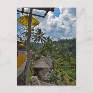 Bali Indonesia Terraced Rice Fields Briefkaart
