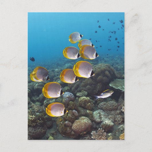 Bali, Indonesië Briefkaart (Voorkant)