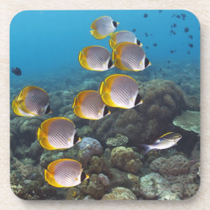 Bali, Indonesië Onderzetter