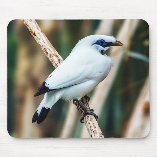 Bali Mina Bird Mousepad Muismat (Voorkant)