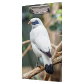 Bali Myna Bird Clipboard Klembord (Links)