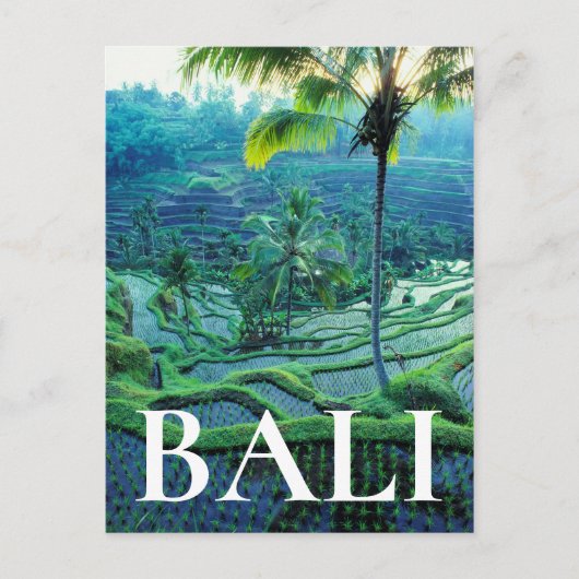 Bali | Overview of Rice Terraces Briefkaart (Voorkant)