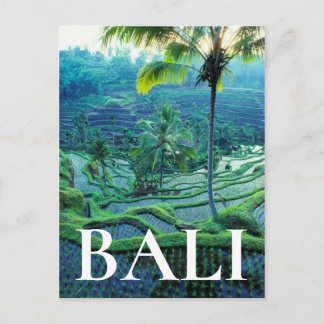 Bali | Overview of Rice Terraces Briefkaart