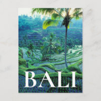 Bali | Overzicht van rijstterrassen