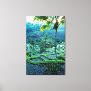 Bali   Overzicht van rijstterrassen Canvas Afdruk
