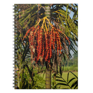 Bali Palm Fruit Rijstveld Notitieboek