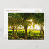 Bali Palm Trees & Ricefield Postcard Feestdagenkaart (Voorkant / Achterkant)