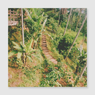 Bali regenwoud trap