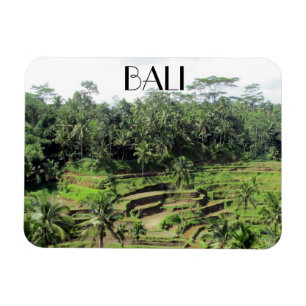 bali rice paddies magneet