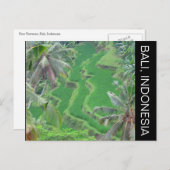 bali-rijstterrassen briefkaart (Voorkant / Achterkant)