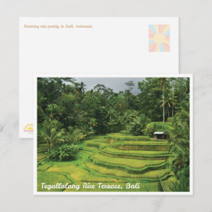 Bali Rijstterrassen Schitterende Reisansichtkaart Briefkaart