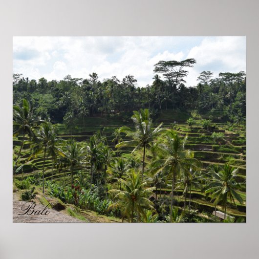 Bali Ubud Rice Field Terrace Poster (Voorkant)