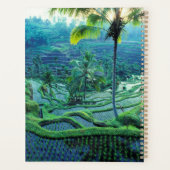 Bali | Vue d'ensemble des rizières (Dos)