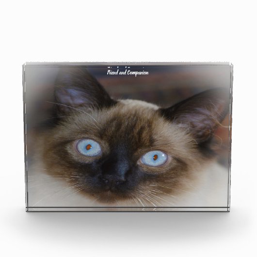Balinese Kat Fotoblokken (Voorkant)